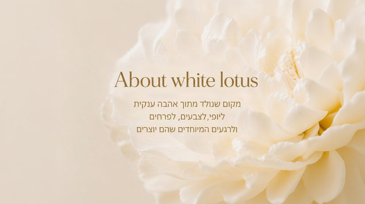 עלינו מחשב