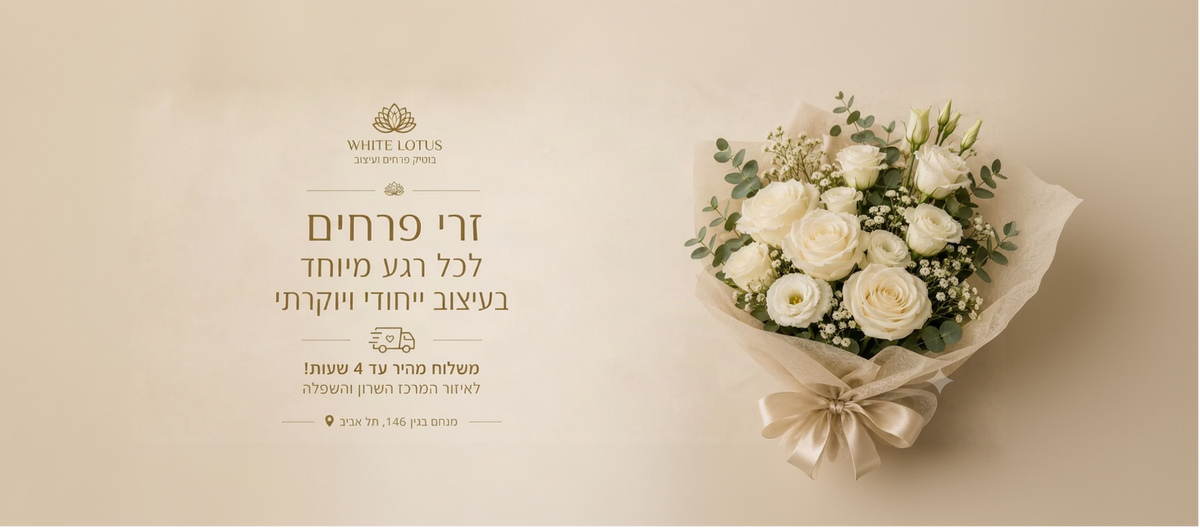 תמונת פתיחה מחשב